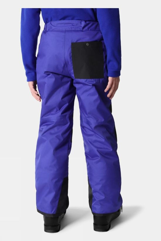 Boys Freedom Insulated Ski Pants
