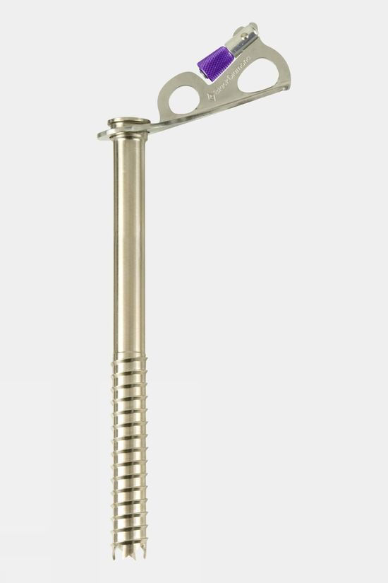 Express Ice Screw - 22cm