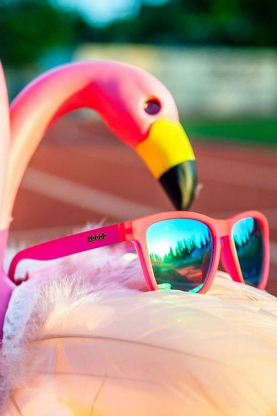 Flamingos On A Booze Cruise Sunglasses