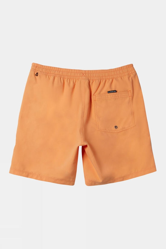 Kids Everyday Solid Volley Swim Shorts