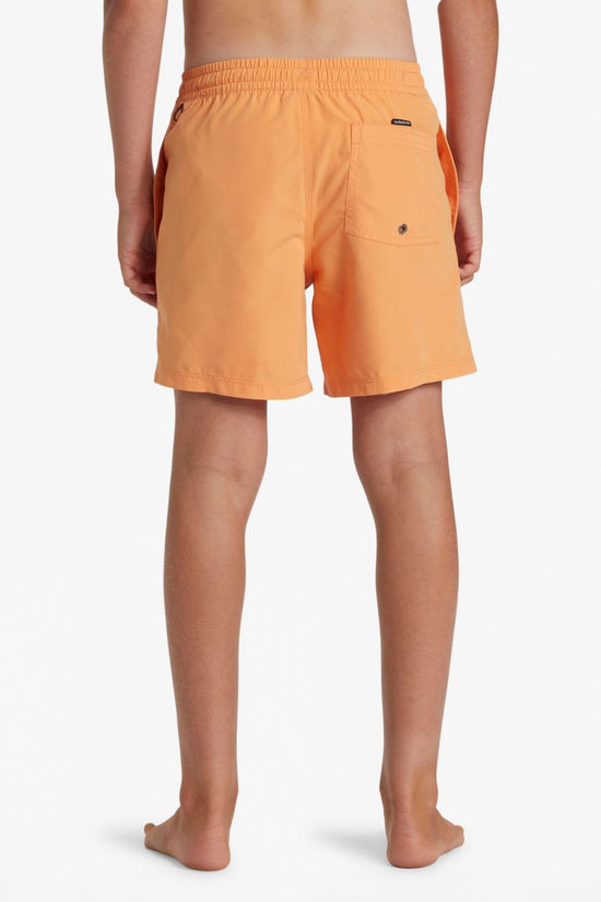 Kids Everyday Solid Volley Swim Shorts