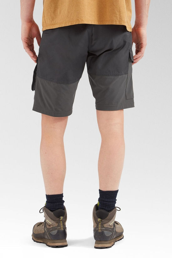 Mens Abisko Shorts