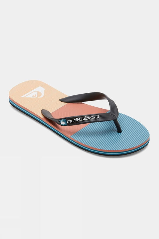 Mens Molakai Stripe Flip Flops