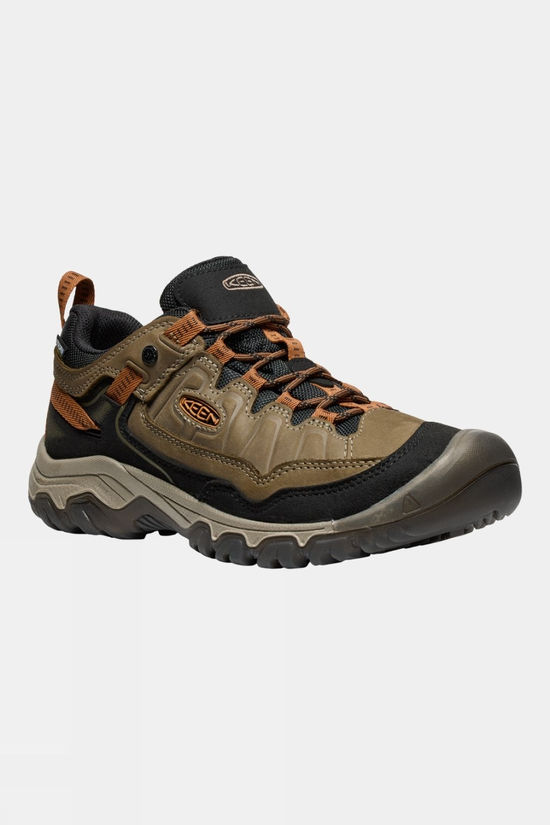 Mens Targhee IV Waterproof Shoes