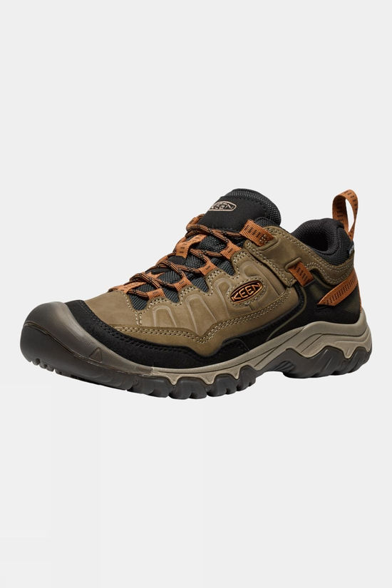 Mens Targhee IV Waterproof Shoes