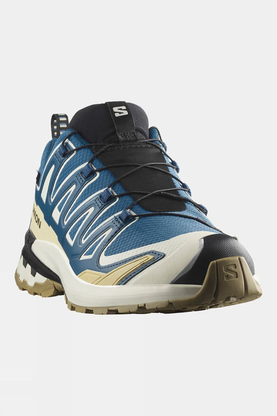 Mens XA Pro 3D V9 GTX Shoes