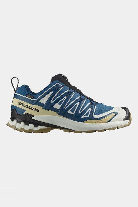 Mens XA Pro 3D V9 GTX Shoes