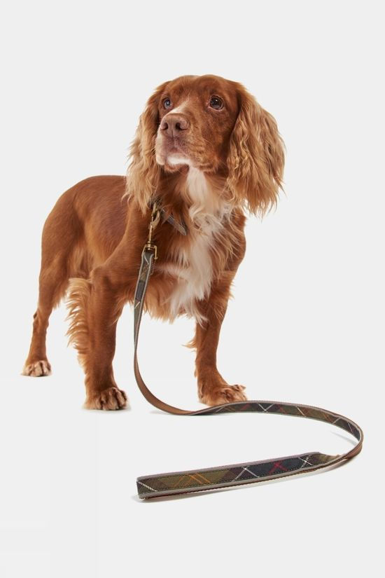 Reflective Tartan Dog Lead