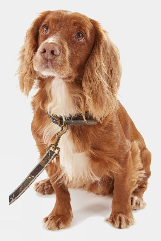 Reflective Tartan Dog Lead