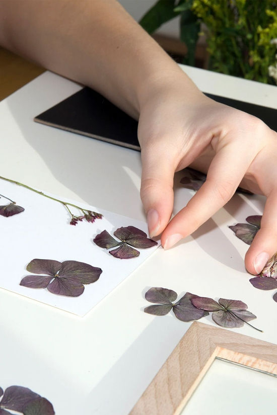 Huckleberry Make Your Own Pressed Flower Frame Art Kit